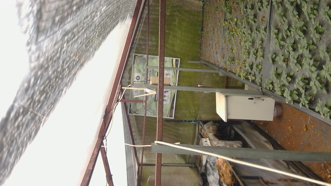 Pak-Tommy_2026-02-07_06-00-01_192-192.jpg