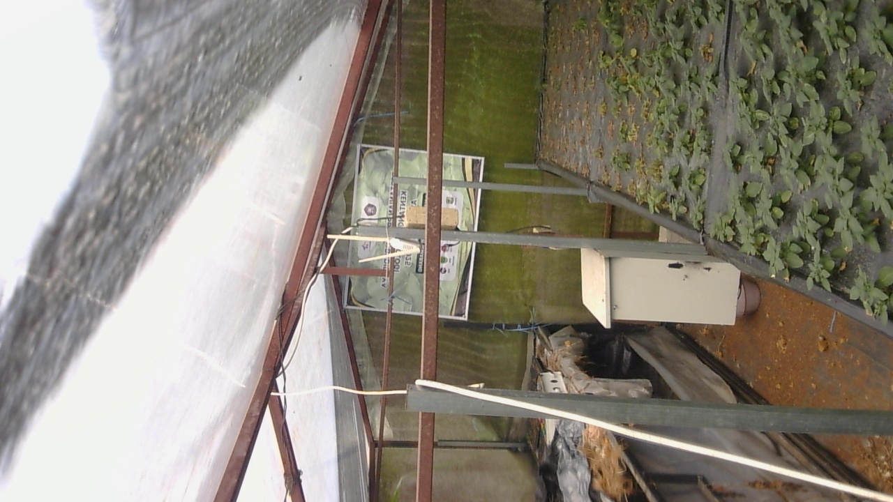 Pak-Tommy_2026-02-07_09-00-01_49-49.jpg