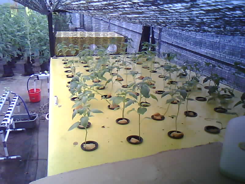 SMK-Moenadi_2026-01-29_07-00-01_122-122.jpg