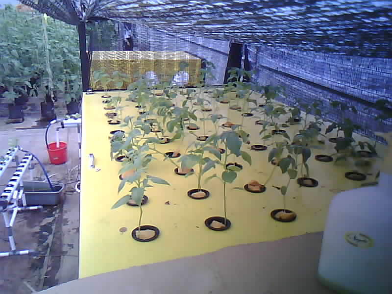 SMK-Moenadi_2026-01-30_17-00-01_484-484.jpg
