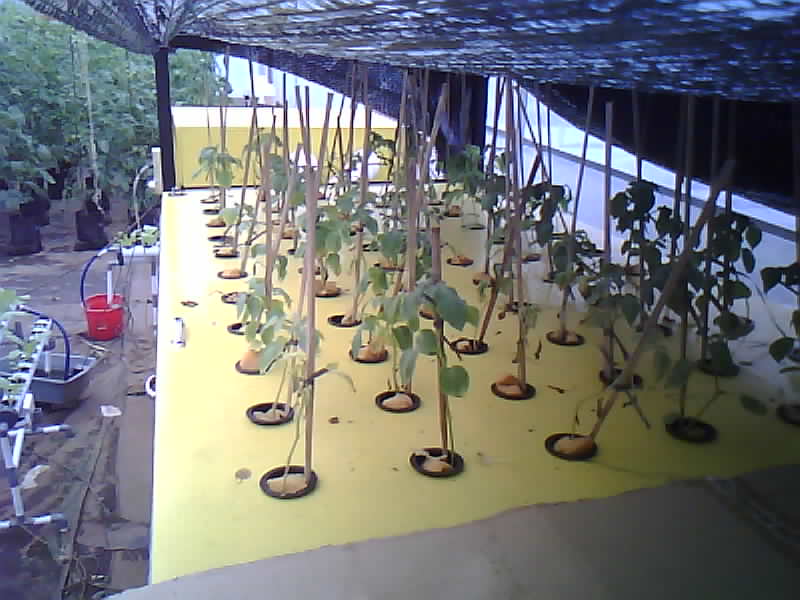 SMK-Moenadi_2026-02-04_11-00-01_399-399.jpg
