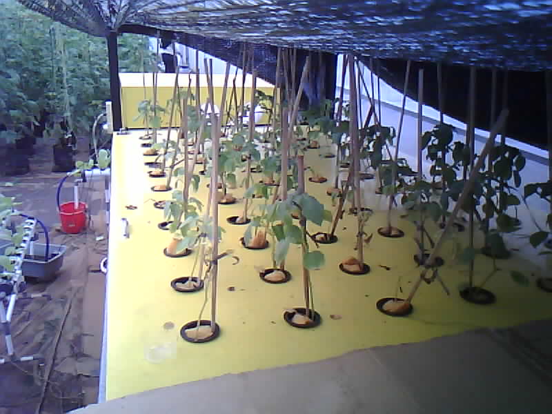 SMK-Moenadi_2026-02-05_14-00-01_818-818.jpg