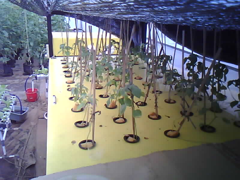 SMK-Moenadi_2026-02-06_12-00-01_282-282.jpg