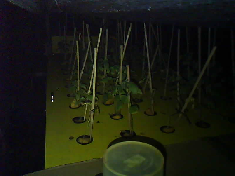 SMK-Moenadi_2026-02-07_00-00-01_000-000.jpg
