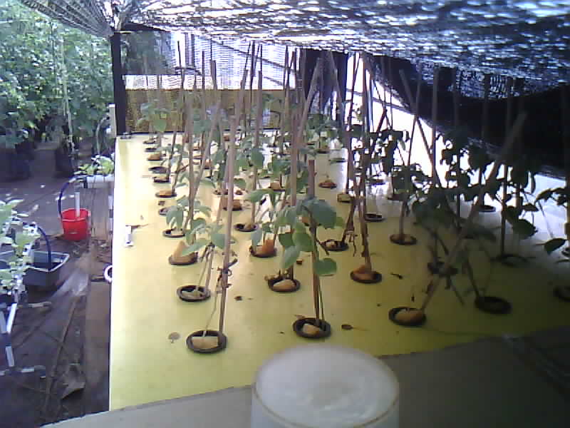 SMK-Moenadi_2026-02-08_07-00-01_419-419.jpg