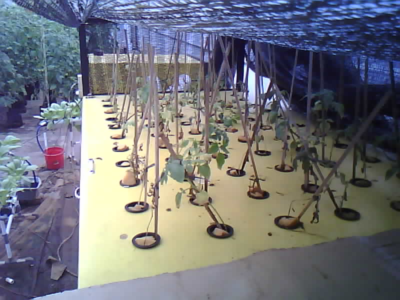 SMK-Moenadi_2026-02-16_10-00-01_120-120.jpg