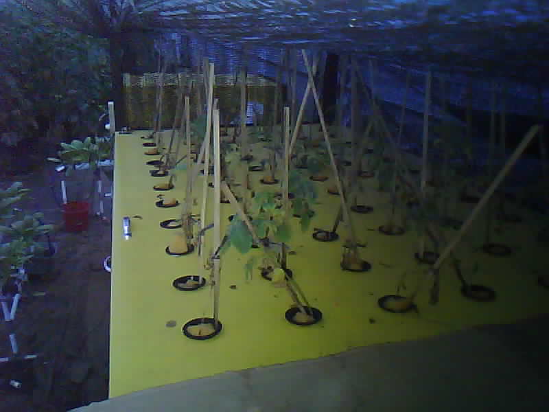 SMK-Moenadi_2026-02-16_18-00-01_248-248.jpg